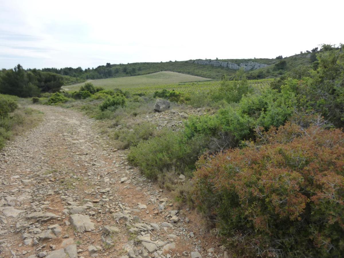 Maison A Narbonne Plage Proche Mer Et Clape Zewnętrze zdjęcie