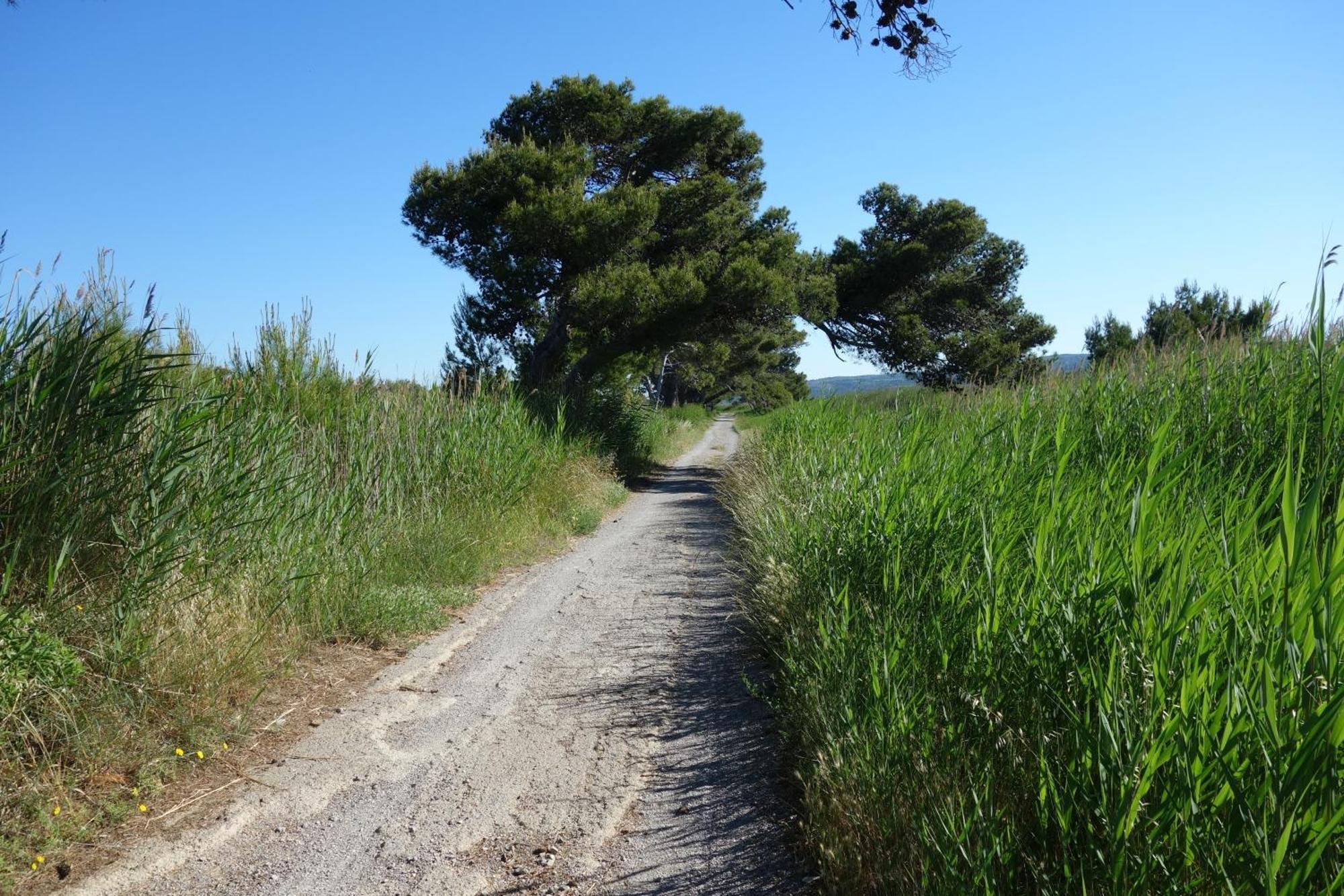 Maison A Narbonne Plage Proche Mer Et Clape Zewnętrze zdjęcie